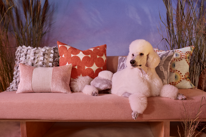 designer throw pillows